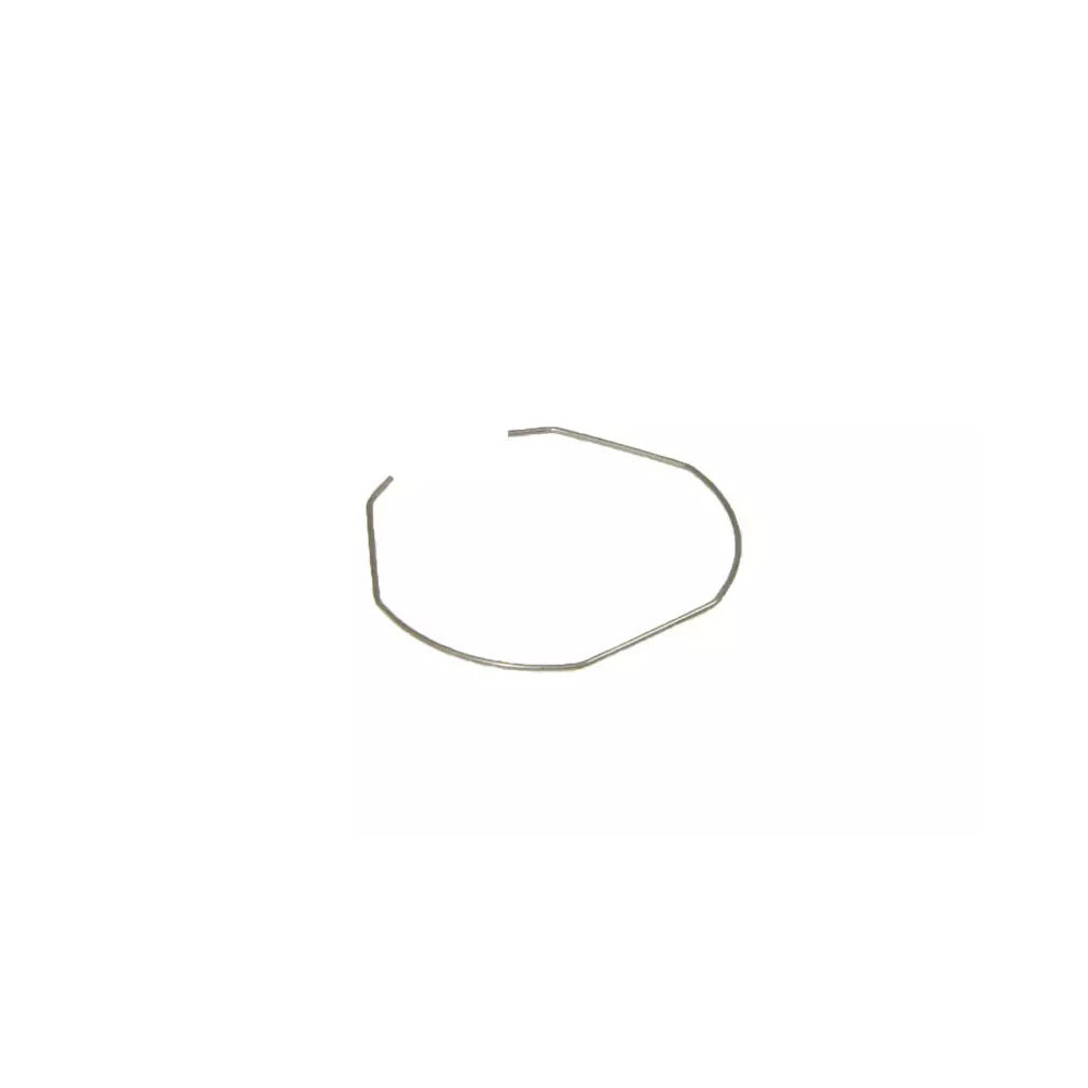 DeLonghi Specialista - Muelle retención de filtros para cafetera - AS00008164