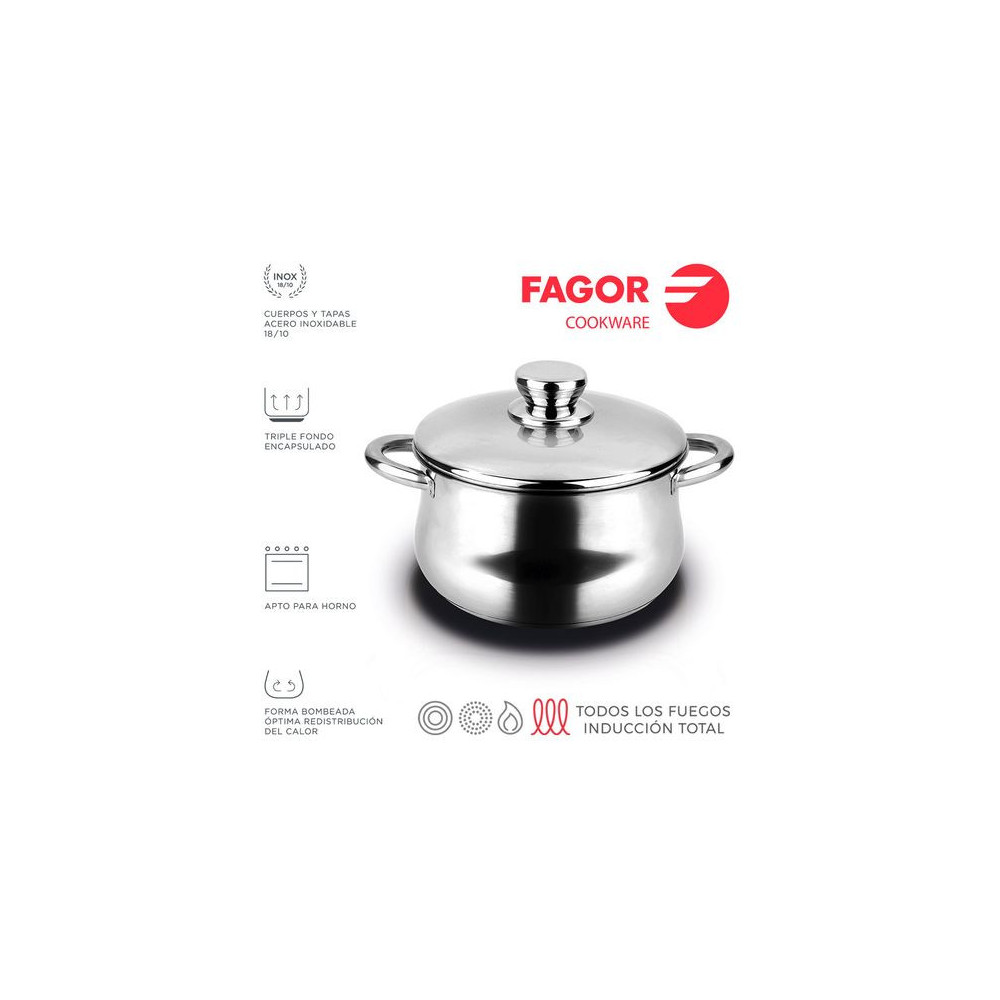 FAGOR Silverinox - Olla con tapa Ø20 para menaje de cocina - 81PXFGOASI0