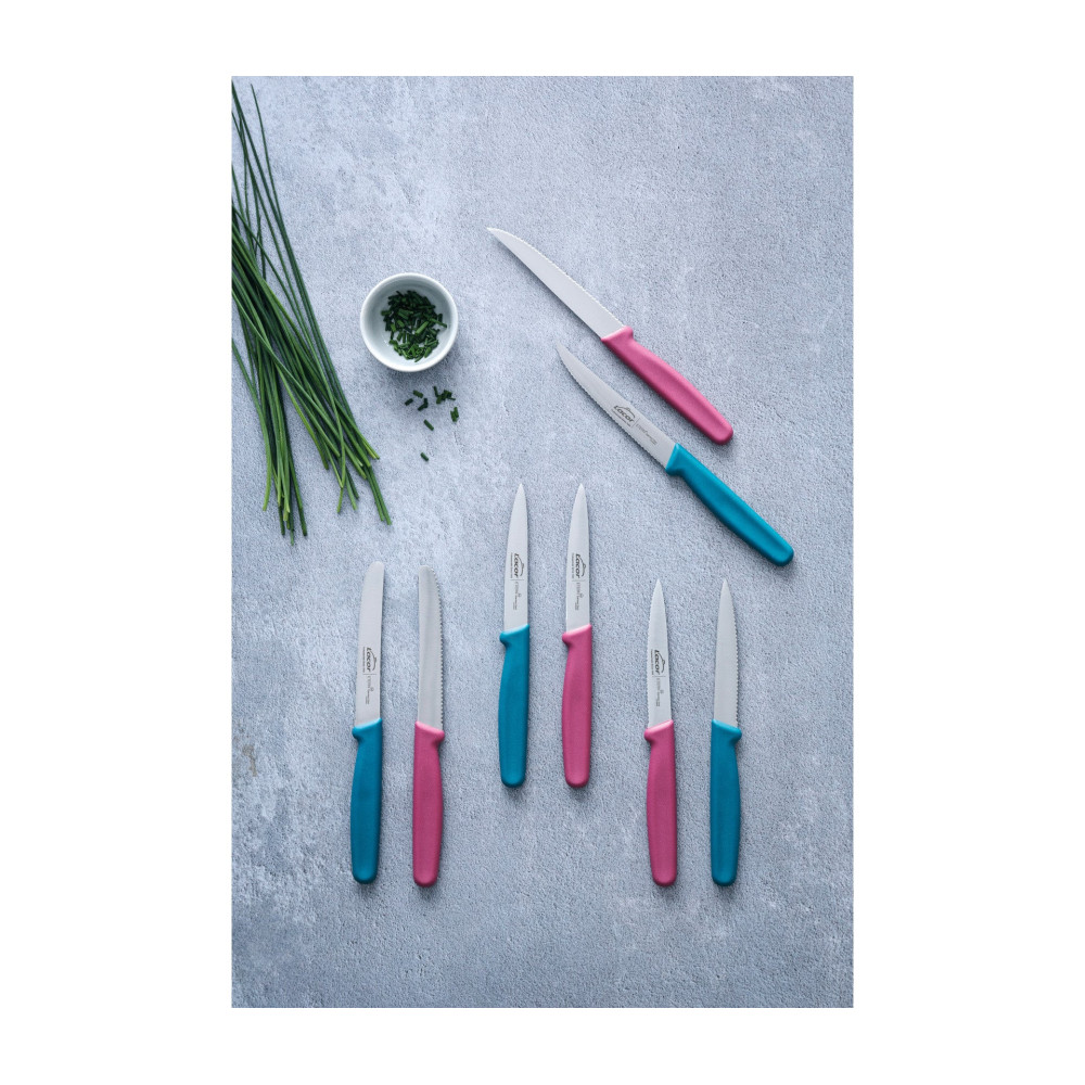 Lacor - Cuchillo puntilla liso para equipos de cocina - 39220