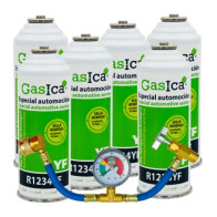 Gasica - Pack 6 garrafas de...