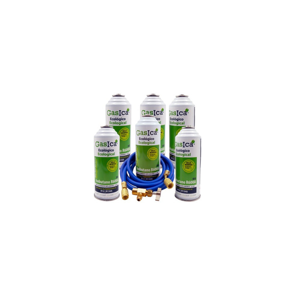 Gasica - Pack 6 botellas gas refrigerante R12 R134a con manguera y válvula para refrigeración - 470001174P6GR