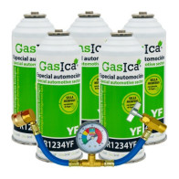 Gasica - Pack 5 garrafas de...