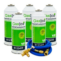 Gasica - Pack 5 garrafas de...