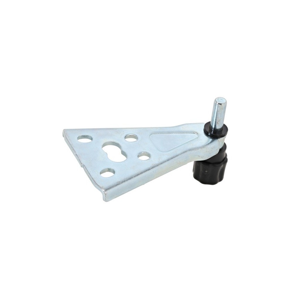 Electrolux - Conjunto de bisagra tipo pata - 4055516696