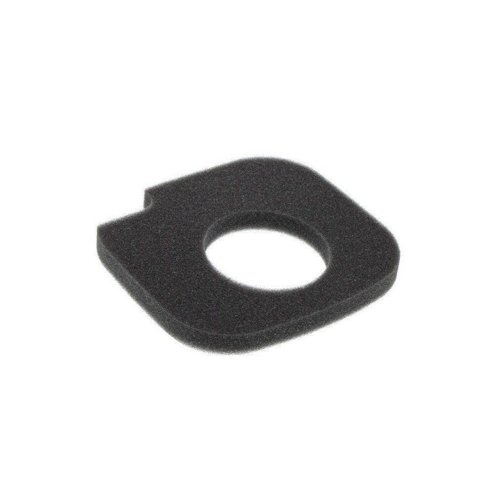 Electrolux - Filtro de motor para aspiradora - 4055398152