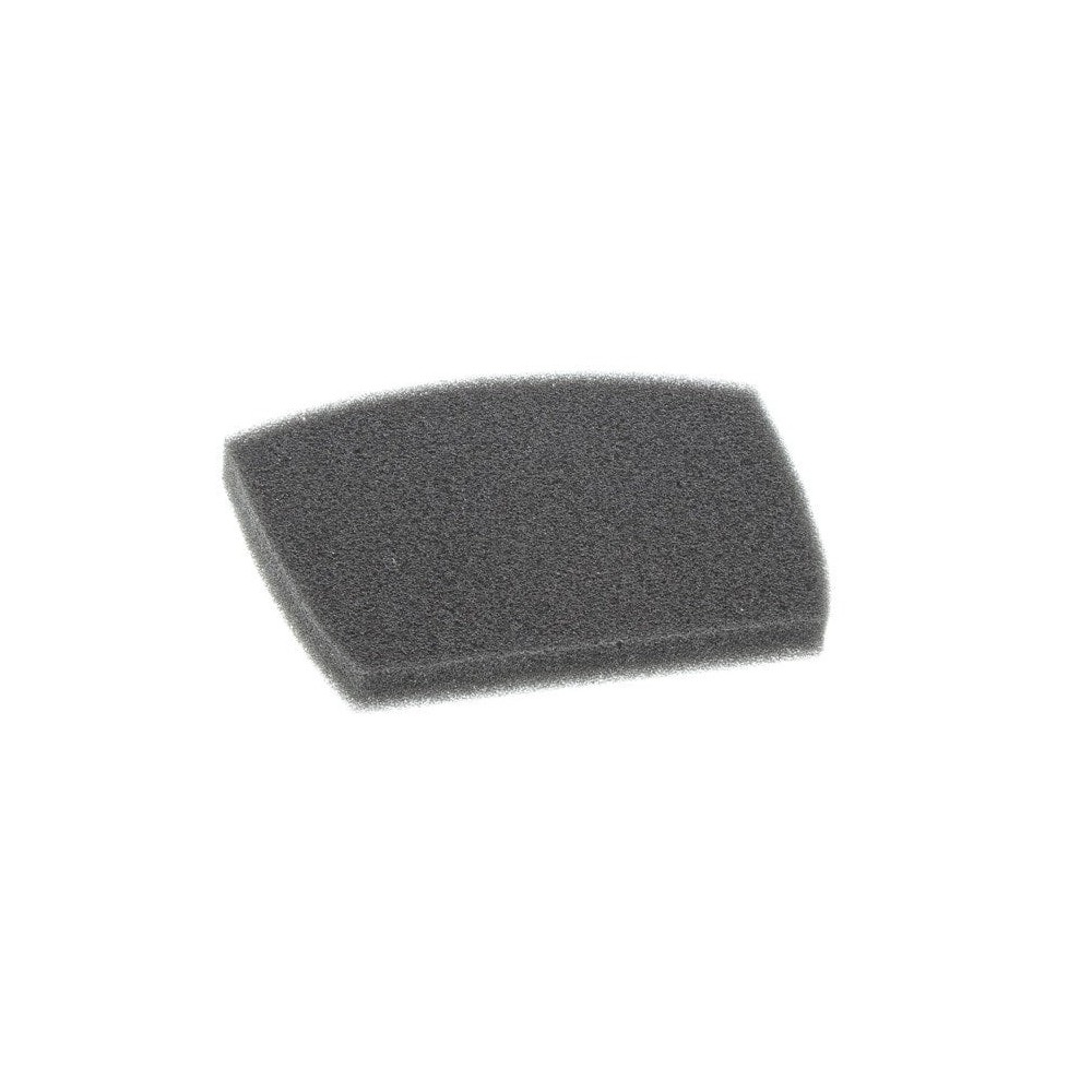 Electrolux - Esponja filtrante para aspirador - 4055418562
