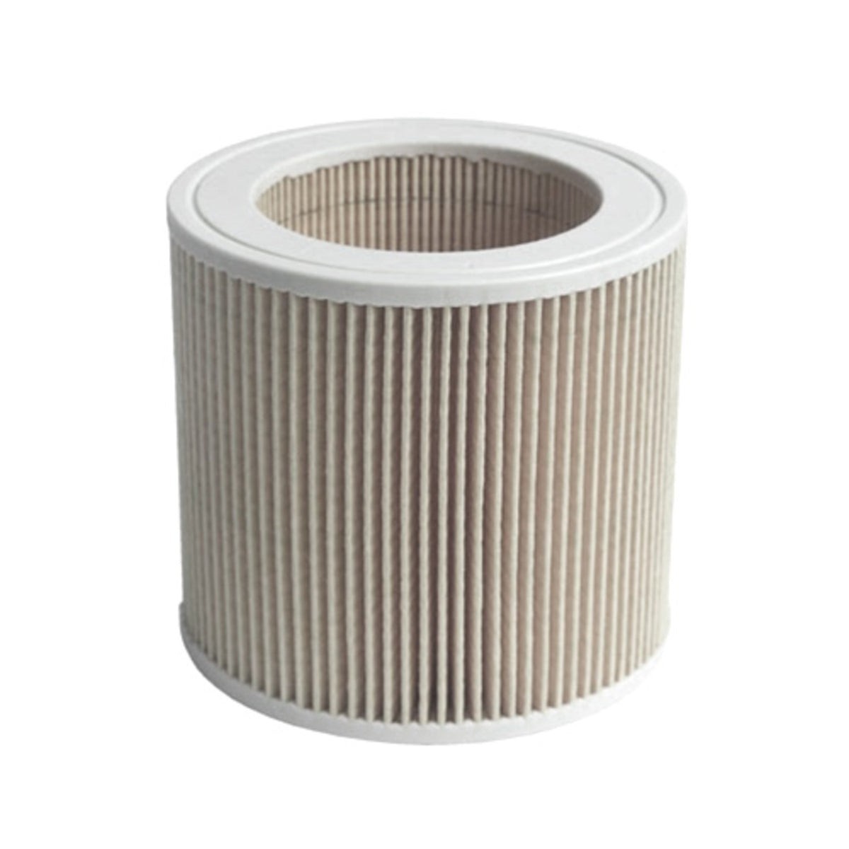 Recambio Karcher k2101 - Aspirador con filtro Hepa - 0057884