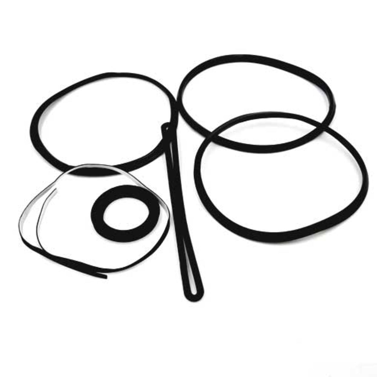 Recambio Polti Forzaspira - Depósito de juntas Kit para aspiradora - SLDB3086