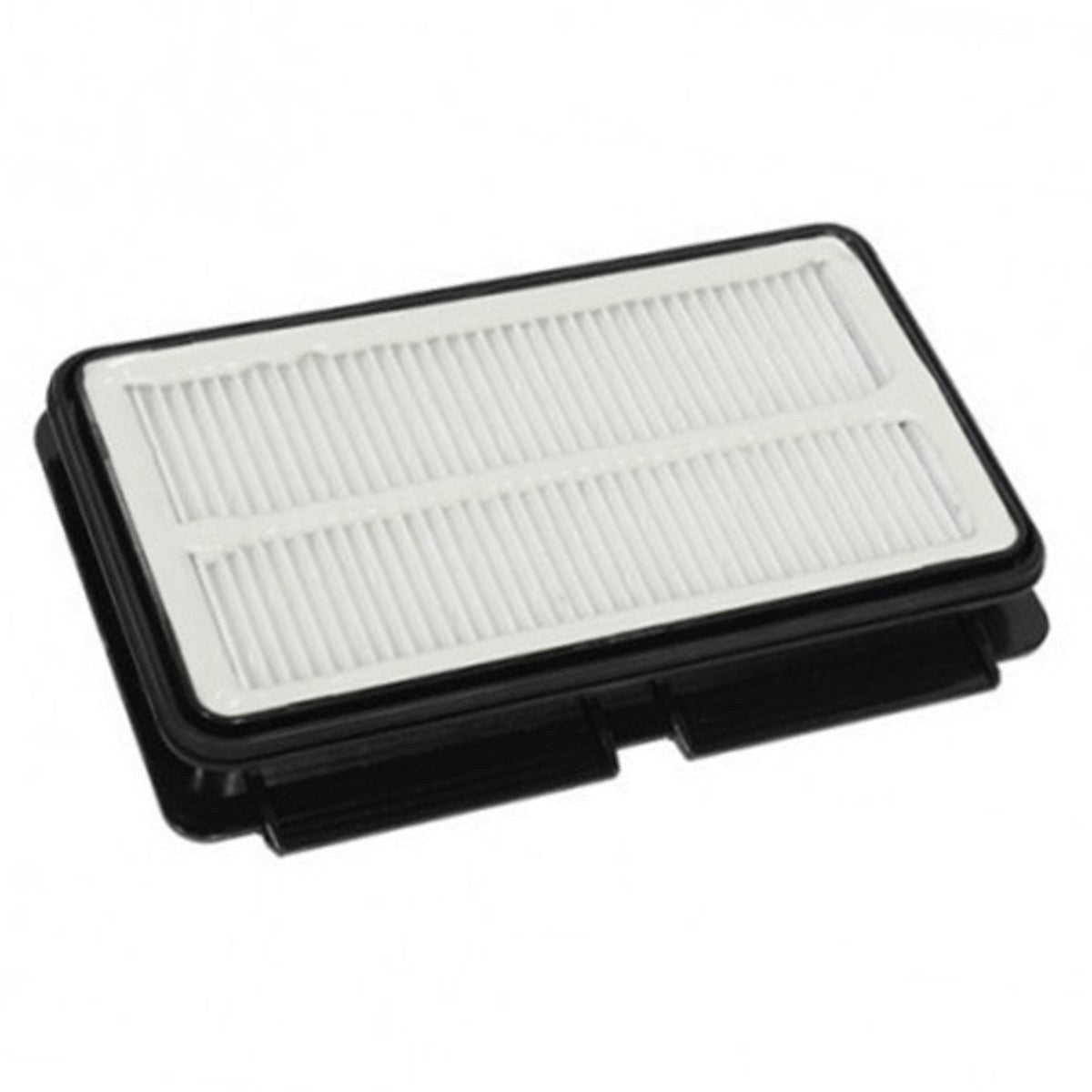 Recambio Rowenta Silence Force Multi cyclonic - Filtro Hepa para aspiradora - ZR902501