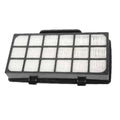 Recambio Rowenta RS-RT4310 - Filtro Hepa para aspiradora - ZR920101
