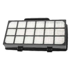 Recambio Rowenta RS-RT4310 - Filtro Hepa para aspiradora - ZR920101
