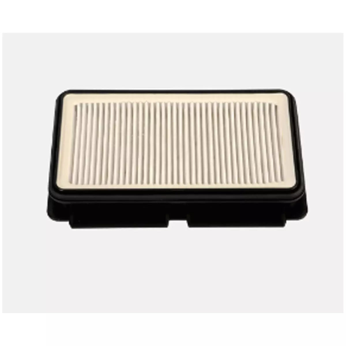 Recambio Rowenta - Filtro para aspiradora - RS - RT4109