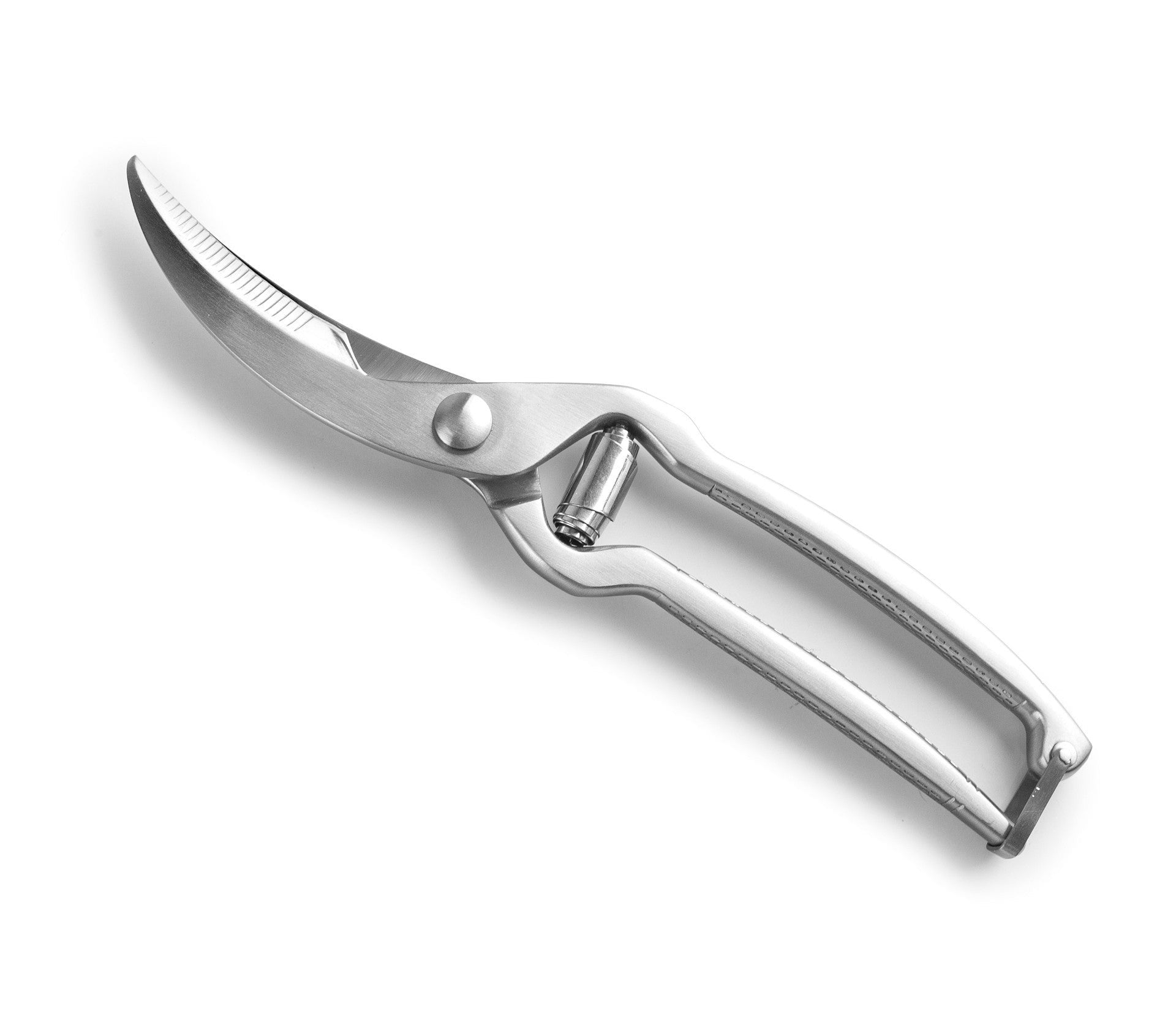 Recambio Lacor - Tijeras para aves para equipos de cocina - 60066