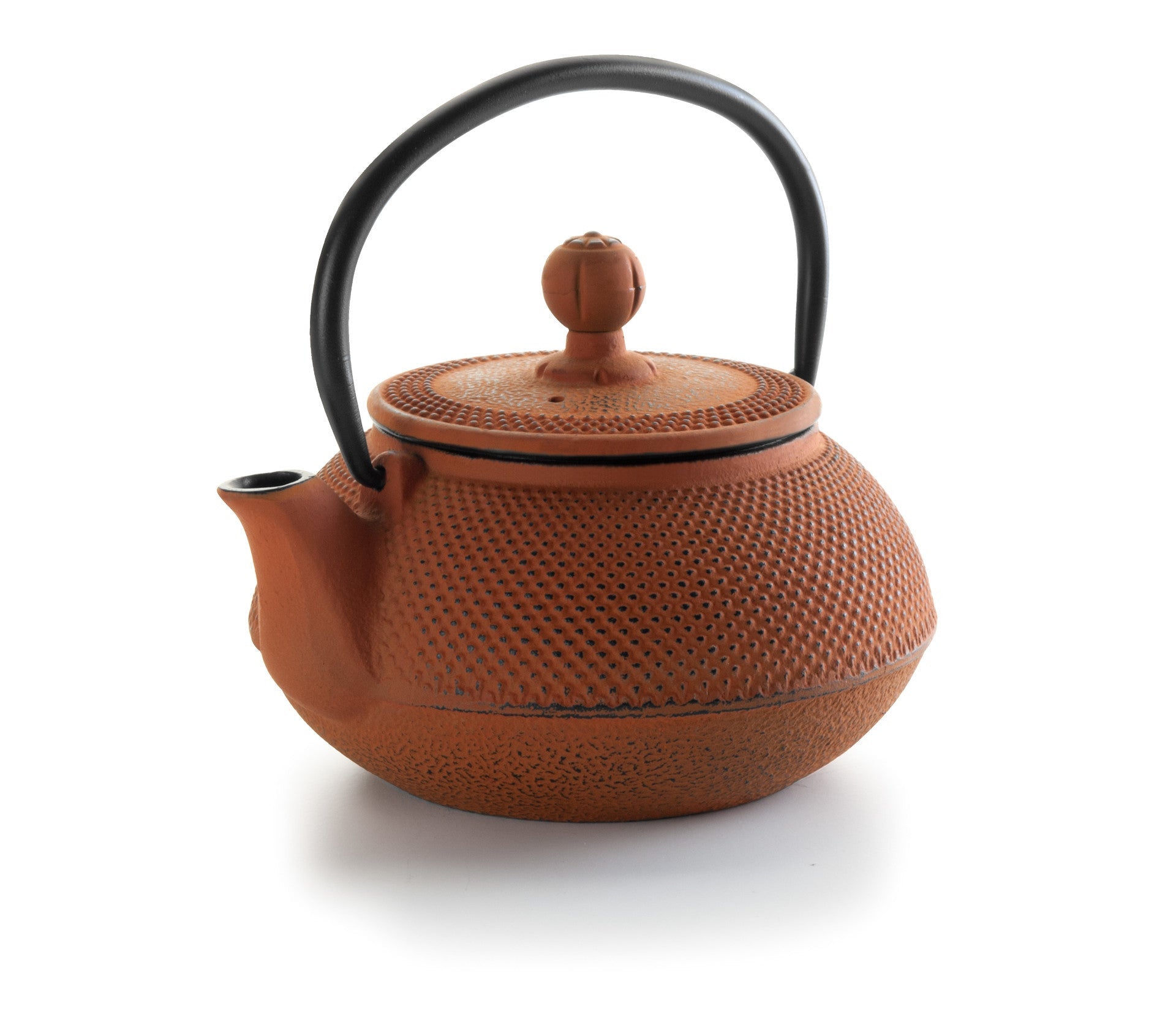 Recambio Lacor - Tetera hierro colado para equipos de cocina - 68666