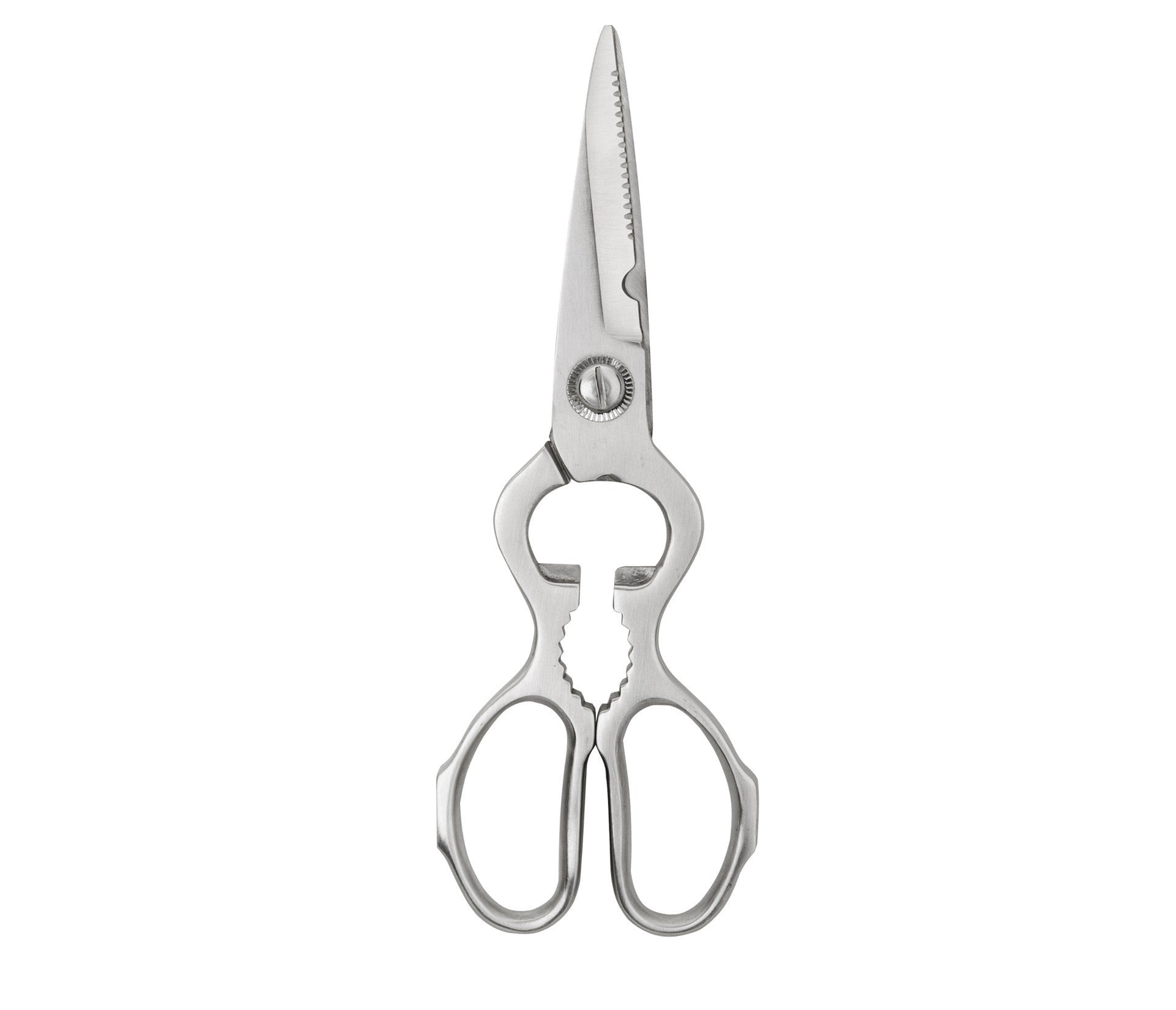 Recambio Lacor - Tijera profesional inox para equipos de cocina - 38010