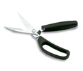 Recambio Lacor - Tijeras para aves para equipos de cocina - 60001