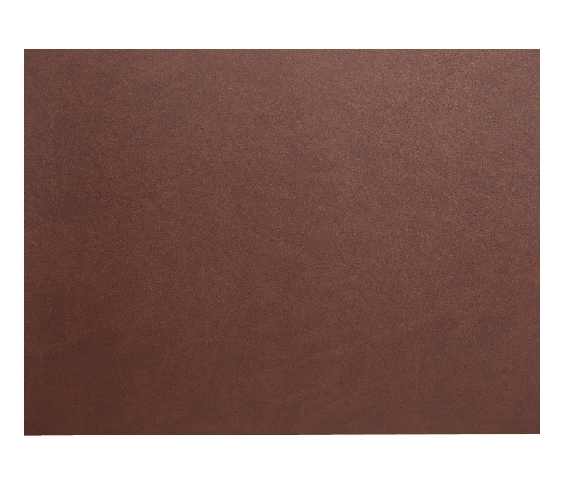 Recambio Lacor - Mantel individual cuero rectangular para equipos de cocina - 66831