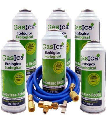 Recambio Gasica - Pack 6 botellas gas refrigerante R12 R134a con manguera y válvula para refrigeración - 470001174P6GR