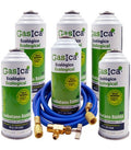 Recambio Gasica - Pack 6 botellas gas refrigerante R12 R134a con manguera y válvula para refrigeración - 470001174P6HR