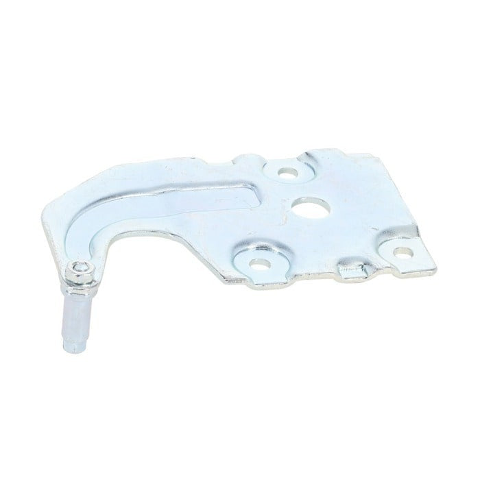 Recambio Electrolux - Bisagra para electrodomésticos - 4055516712