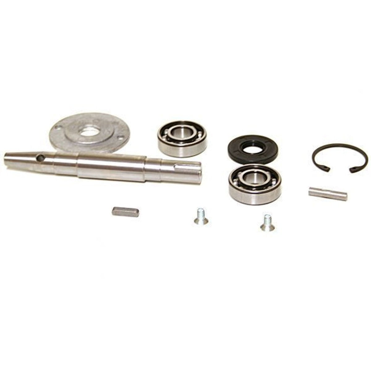 Recambio Sammic - Eje central para peladora de patatas - 2009301