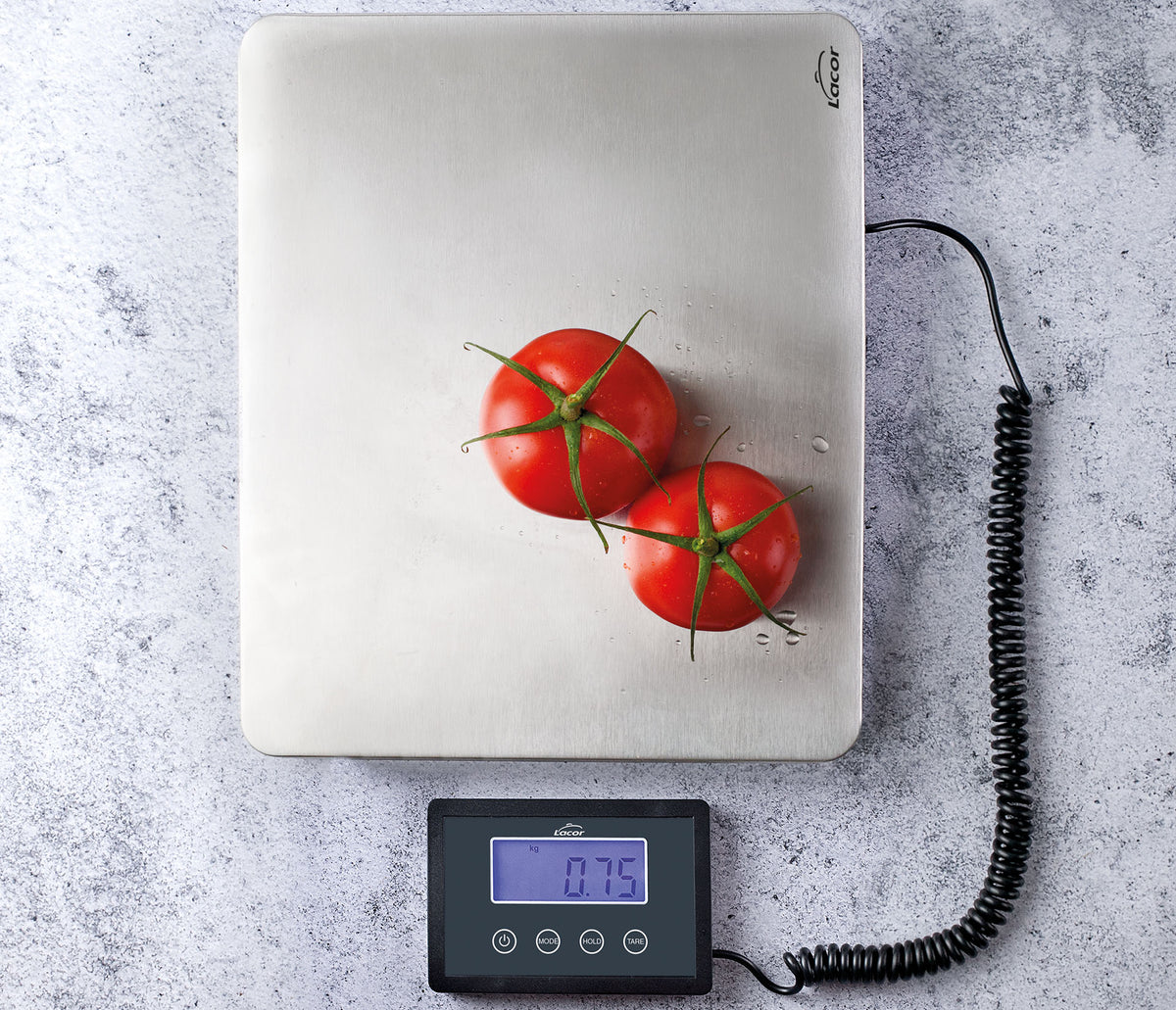 - Báscula plataforma para equipos de cocina - Lacor 61724 - imagen 4