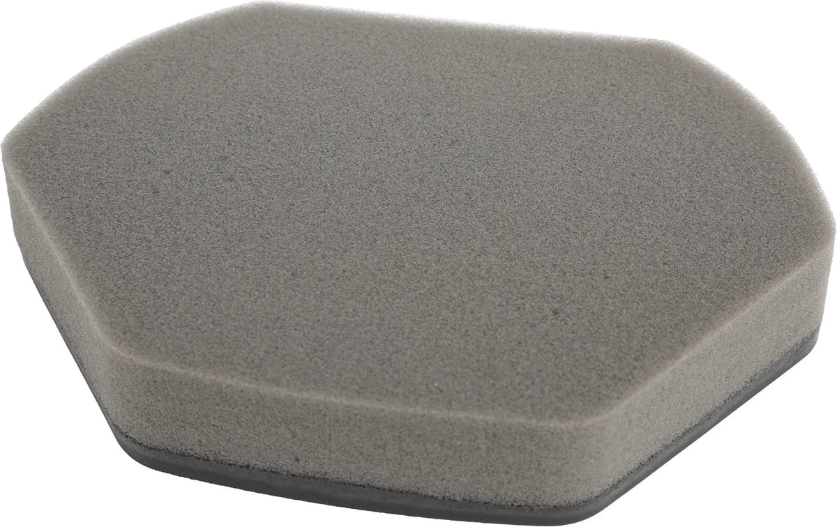 Bosch, Siemens - Filtro de espuma para aspirador Bosch 12012937 - imagen 2