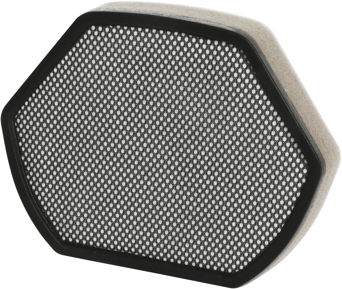 Bosch, Siemens - Filtro de espuma para aspirador Bosch 12012937 - imagen 4
