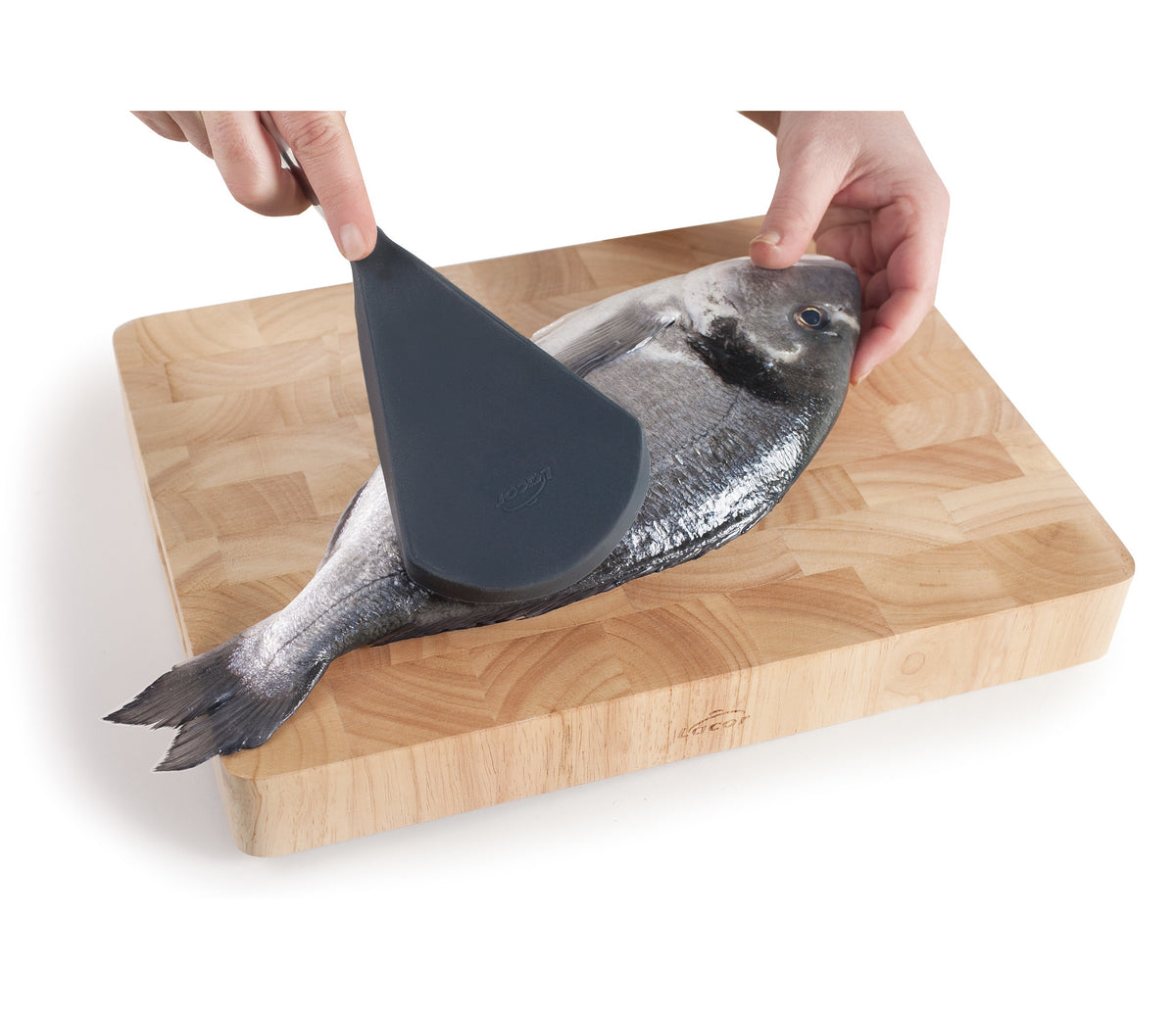 - Desescamador de pescado para equipos de cocina - Lacor 39042 - imagen 2
