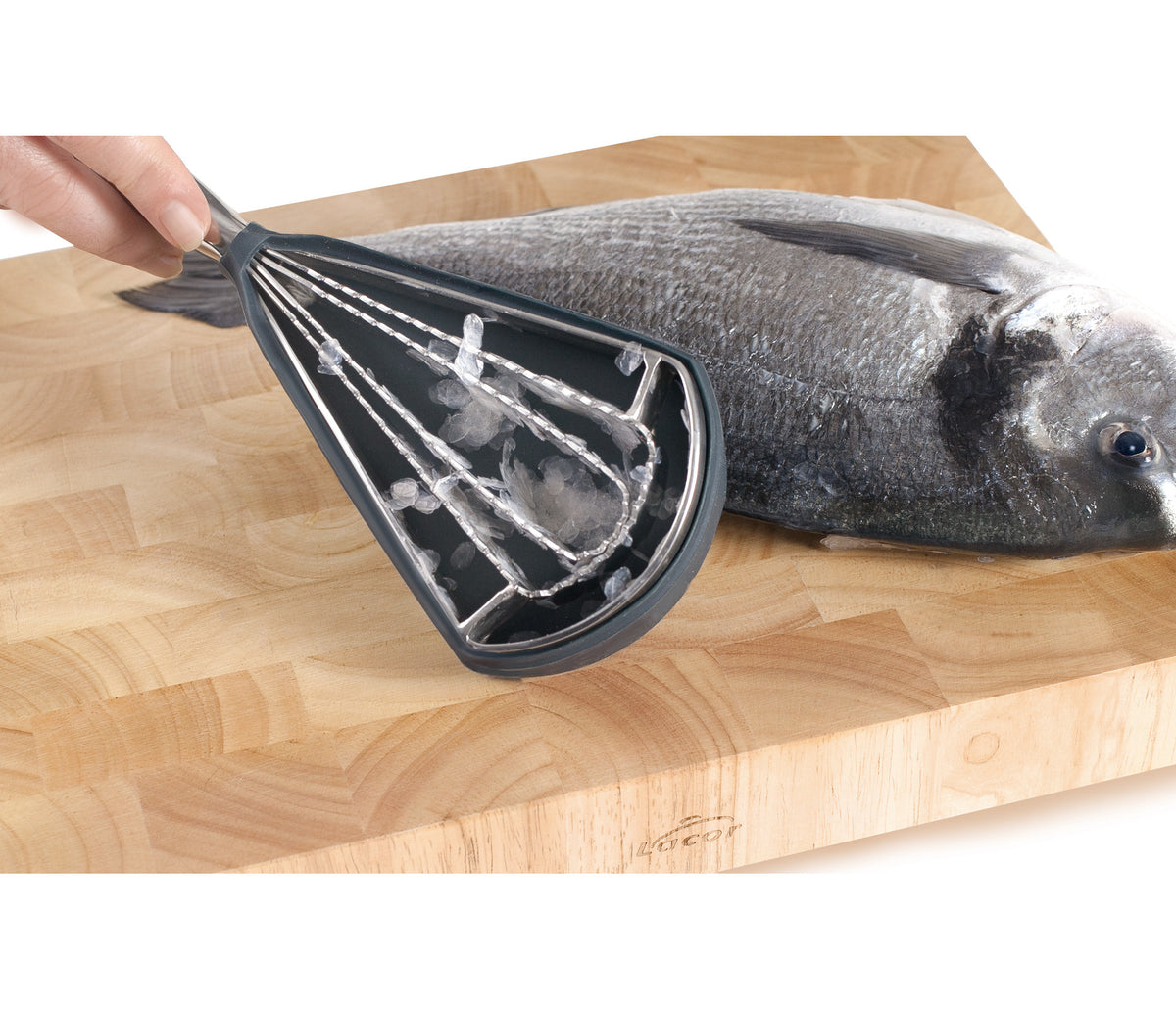 - Desescamador de pescado para equipos de cocina - Lacor 39042 - imagen 3