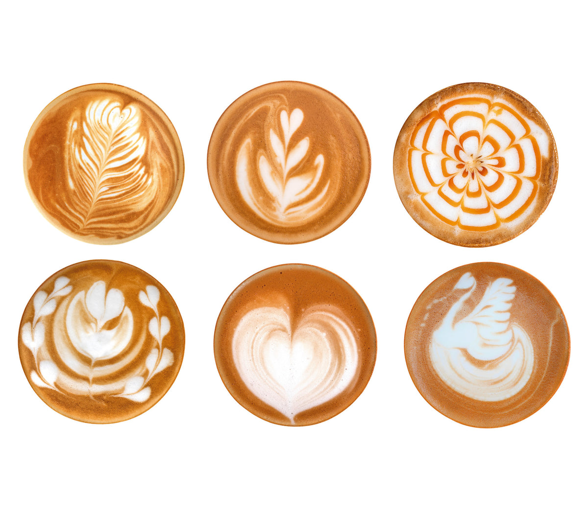 - Lechera barista para equipos de cocina - Lacor 58050 - imagen 3